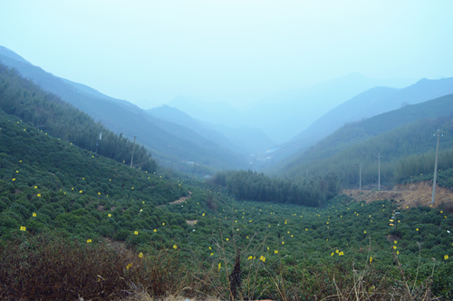 我院順利完成河南省信陽市馬家畈村鄉(xiāng)村旅游總體規(guī)劃項(xiàng)目考察